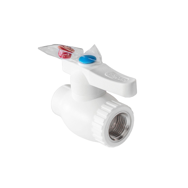 16207_optimiz-PhotoRoom.png-PhotoRoom